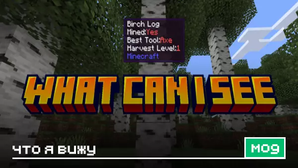 Мод: Что я вижу для Minecraft
