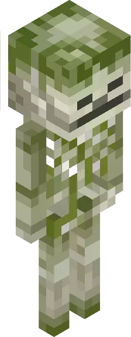 Скелет
