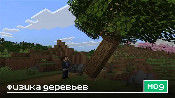 Мод: Физика деревьев